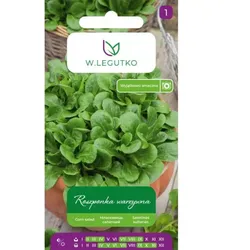 Garten-Feldsalat Verte de Cambrai