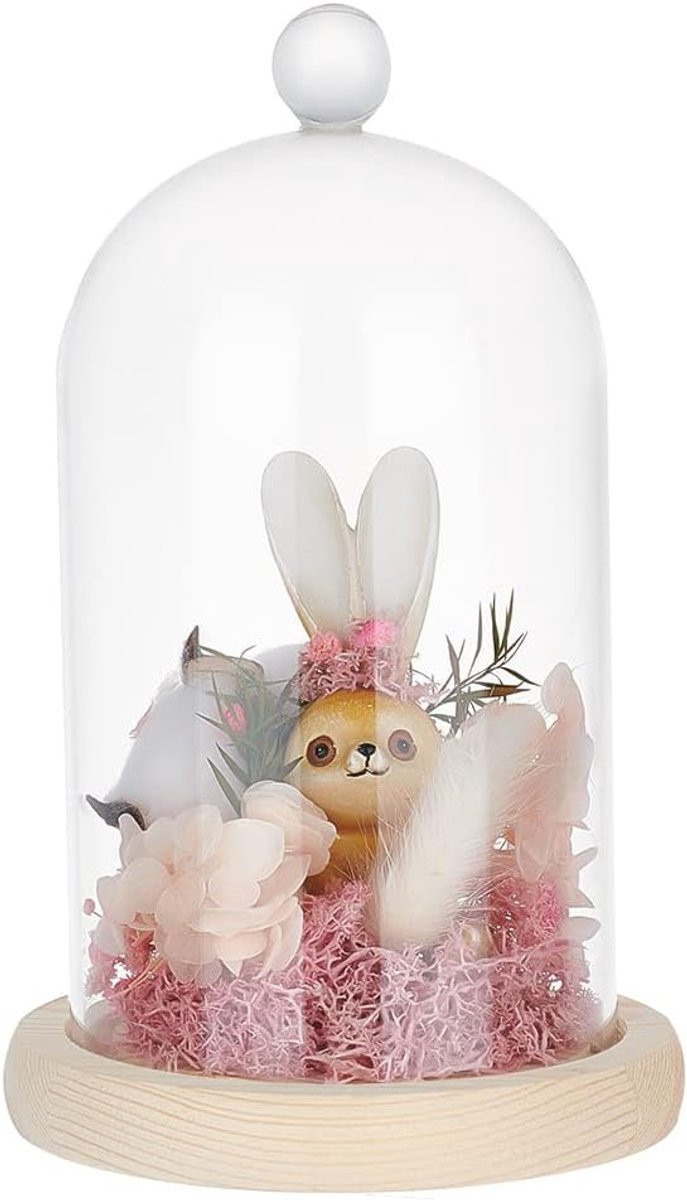 Glazen Stolp met Kurken Voet voor Decoratie, Planten, Bloemen en Succulenten