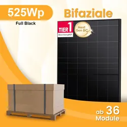 LONGi Hi-MO X10 525Wp BC Bifaziale Solarmodule für Balkonkraftwerke Photovoltaik Glas-Glas, by Powerness - 36 Stücke / Versand