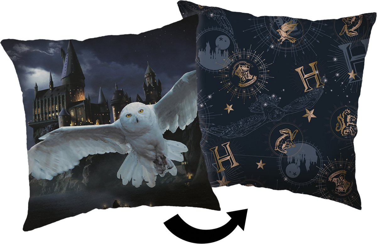 Harry Potter Hogwarts Sierkussen - 40 x 40 cm - Polyester