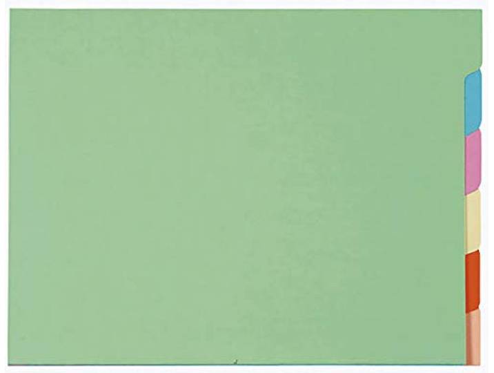 Exacompta - Réf. 336000E - 10 jeux de 6 chemises à onglets pour armoire SUPER 210g/m² - couleurs pastel - chemises certifiées PEFC™ - dimensions 24x32cm pour documents format A4 - 6 couleurs assorties