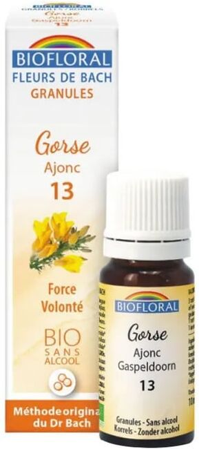 Biofloral Flores De Bach 13 Gorse Bio