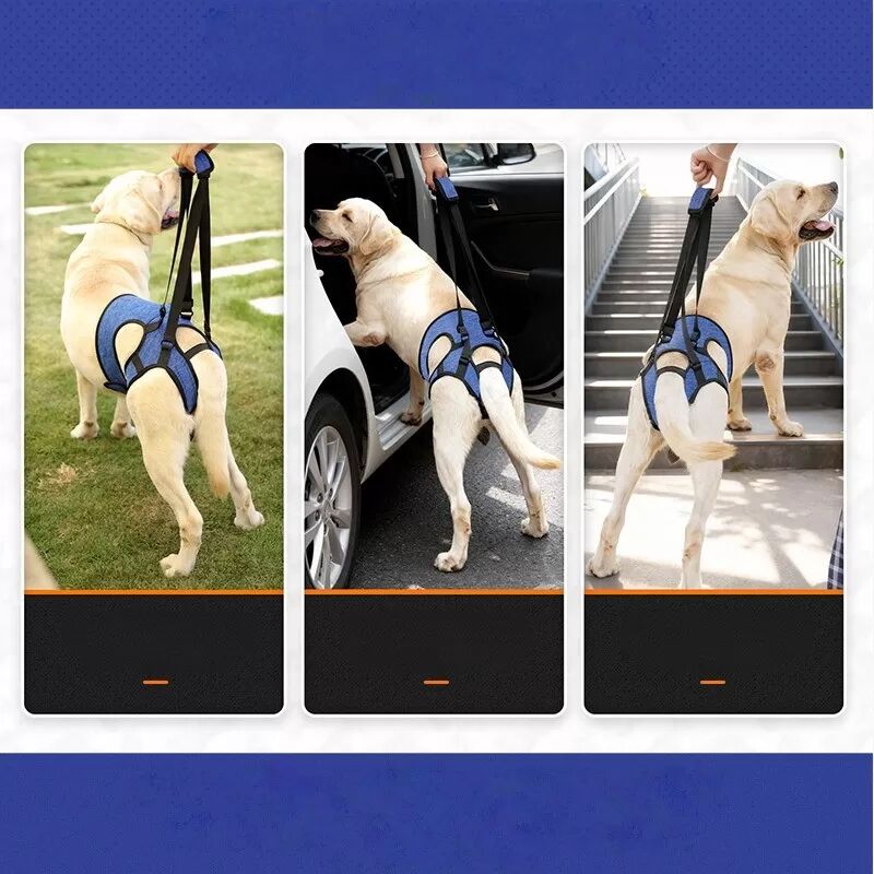 INF Outdoor Hunde Hinterbein-Stützgeschirr - Mobilitätshilfe für verletzte & ältere Hunde L