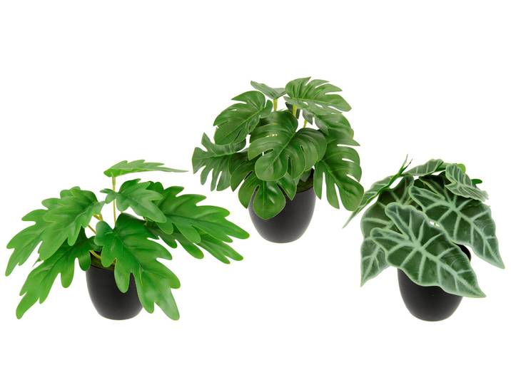 Kunstpflanze I.GE.A. Künstliches Zimmerpflanzen-Set , grün, B:16cm H:17cm L:14cm, Polyester, Kunstpflanzen, Kunstpflanze, Im Topf 3er Set Grünpflanzen Zimmerpflanze Monstera Philo Calathea