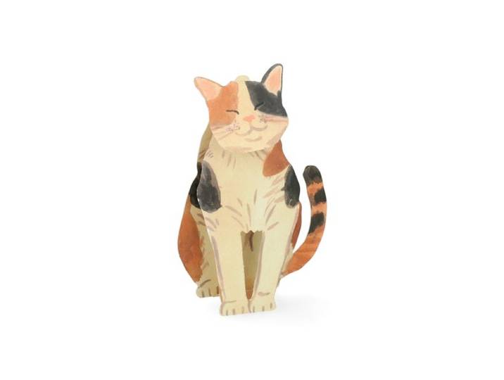 Kaart 3D met envelop, kat