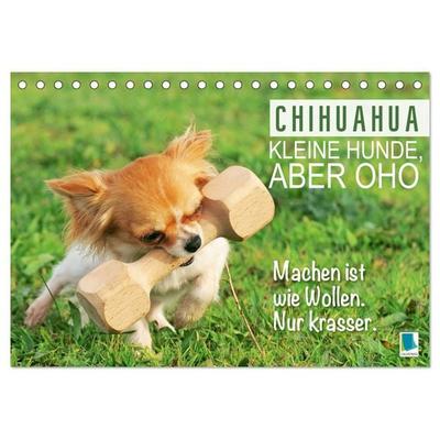 Chihuahua: Kleine Hunde, aber oho (Tischkalender 2026 DIN A5 quer), CALVENDO Monatskalender