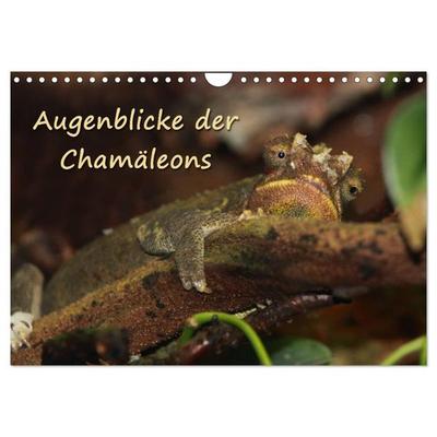 Augenblicke der Chamäleons (Wandkalender 2027 DIN A4 quer), CALVENDO Monatskalender