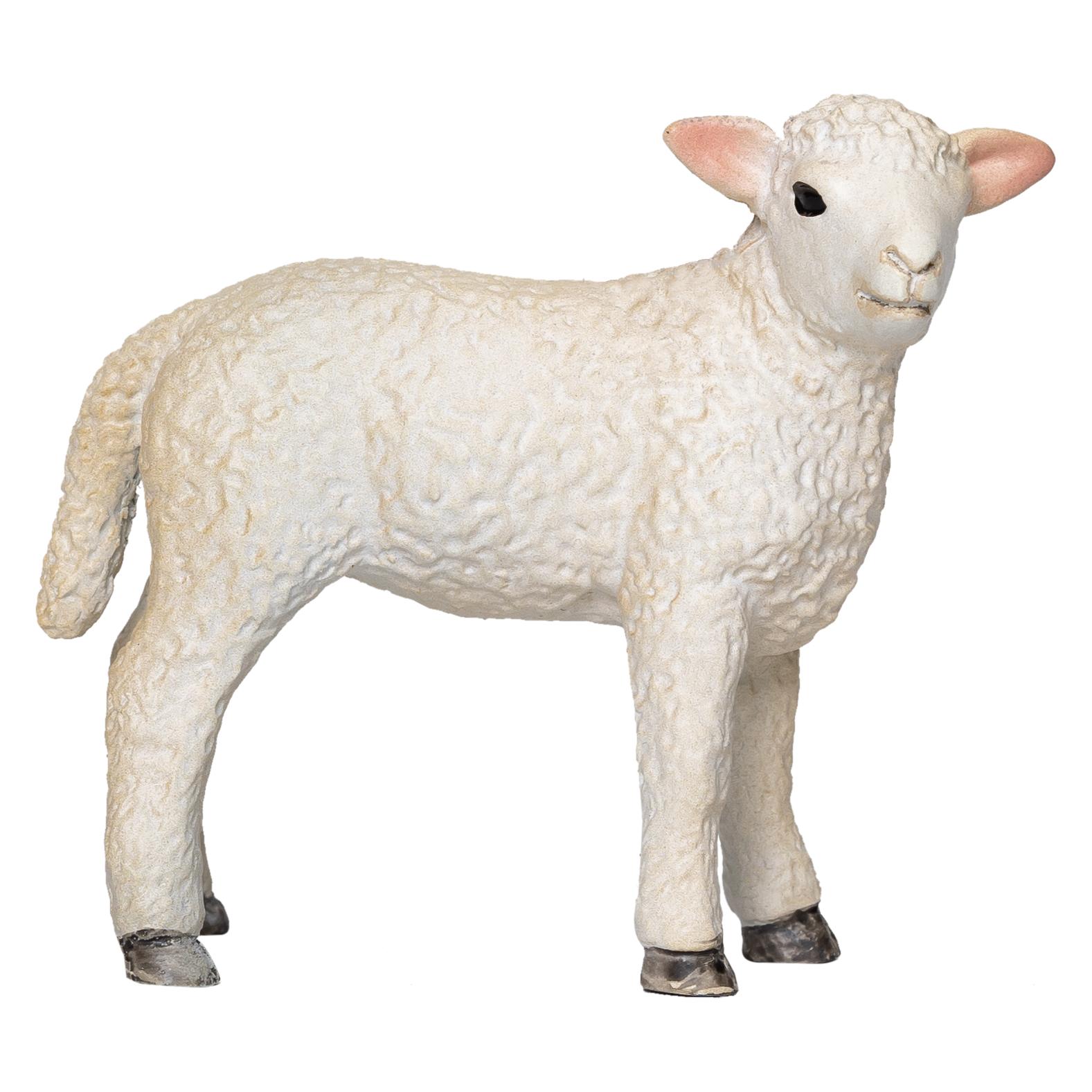 Mojo Romney-Lamm stehend (MJ-381065)