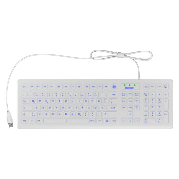 KeySonic Tastatur Full Size Hygiene Industrietastatur für Windows (DE, Kabelgebunden) (60798)