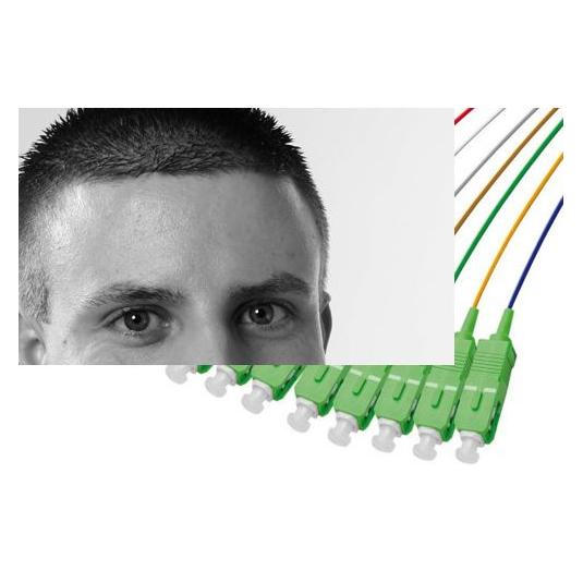 Ekivalan Lot de pigtails OS2 G652D SC-APC Low Loss 900µm 12 couleurs 2m (2 m) (COP008SAP0020-12A)