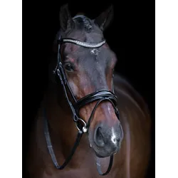 Imperial Riding Trensenzaum Englisches Reithalfter black-crystal mit Strass Stirnriemen, Größe: Cob