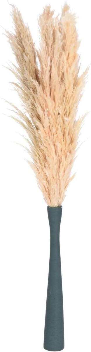 Pampasgras Decoratie Beige - Droogbloemen - 117 cm
