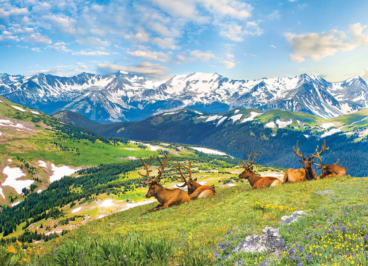 Eurographics Puzzel Bergelche - 1000 stukjes kartonnen puzzel met dieren