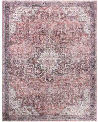 Nourison Washables Indoor only Persian Area Rug