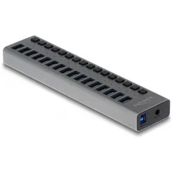 Delock SuperSpeed Hub (USB-B, 16 Ports), Dockingstation + USB Hub, Grau