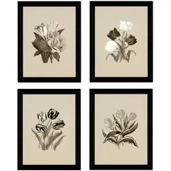 POSTER Set mit 4 Botanische Jahrgang Hintergrund Tulpen A3 Rahmenlos