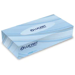 Lucart Kosmetiktücher Strong 100V – 2-lagig, hochweiß (4.000 Tücher)