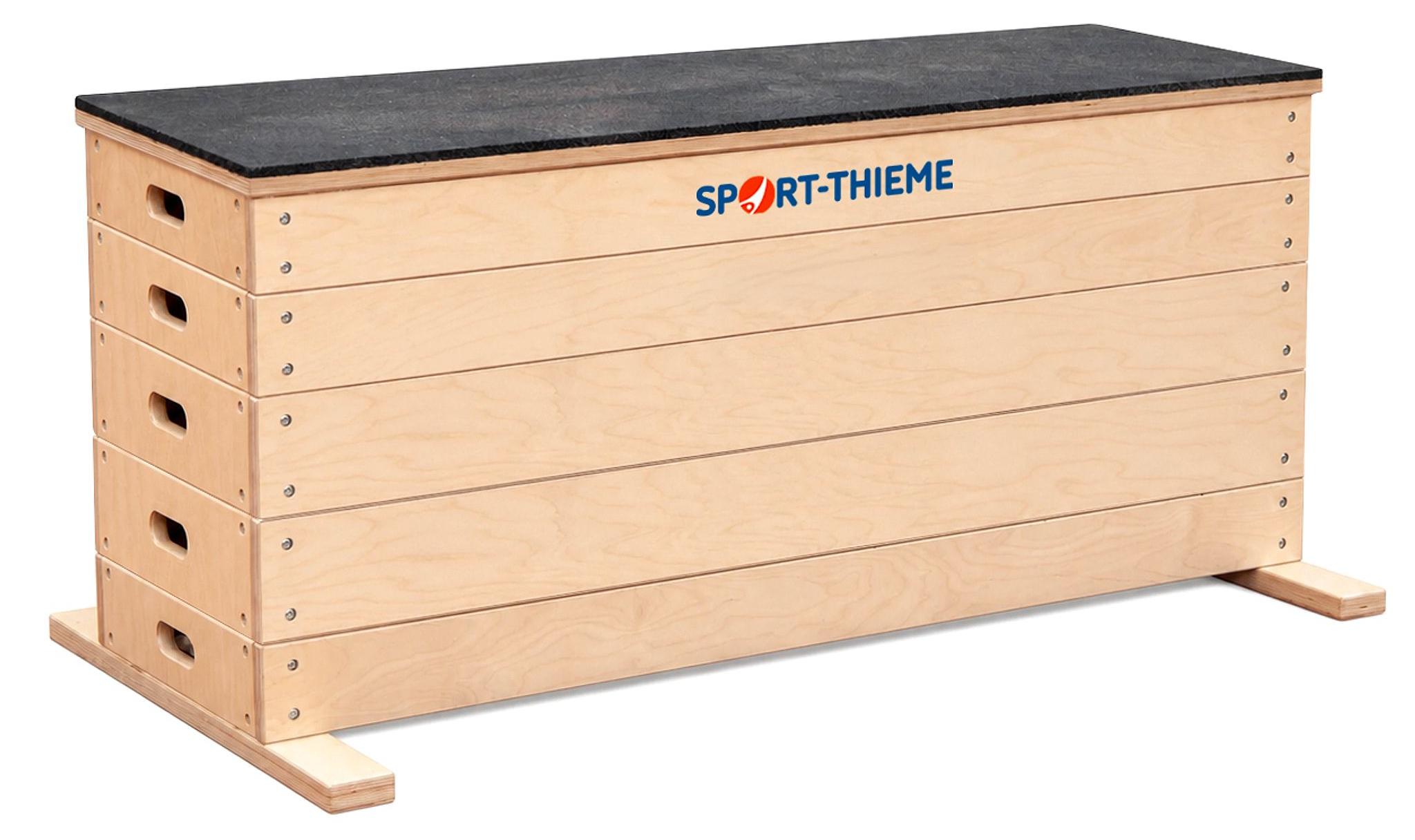 Sport-Thieme Sprungkrafttrainer "Jump", Set L