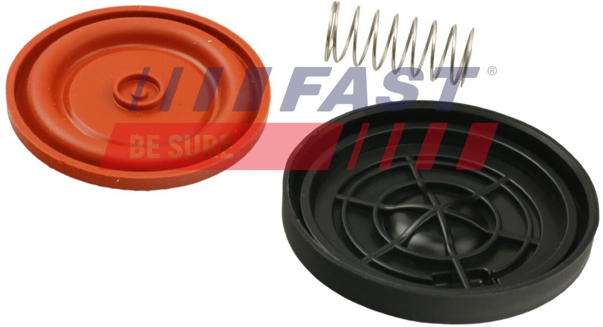Fast Membran, Kurbelgehäuseentlüftung Ft60106 Für Nissan