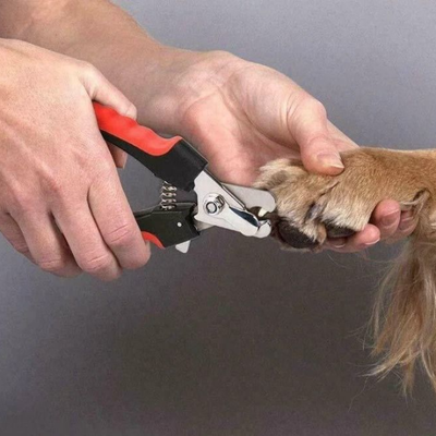 Drop Dash Deals Dog Nail Clippers For Large & Small Pets Professional Grooming Scissors With Safety Guard Dog Nail Clippers For Large & Small Pets Professional Grooming Scissors With Safety Guard