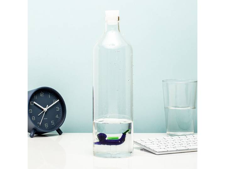 Balvi Scuba Waterfles - Borosilicaatglas - 1\,2 l