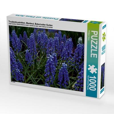 CALVENDO Puzzle Traubenhyazinthen. Montreal, Botanischer Garten | 1000 Teile Lege-Größe 64x48cm Foto-Puzzle für glückliche Stunden