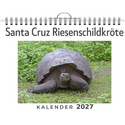 Santa Cruz Riesenschildkröte