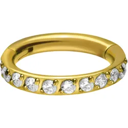 Titan Segmentring Clicker EINGEFASSTE KRISTALLE