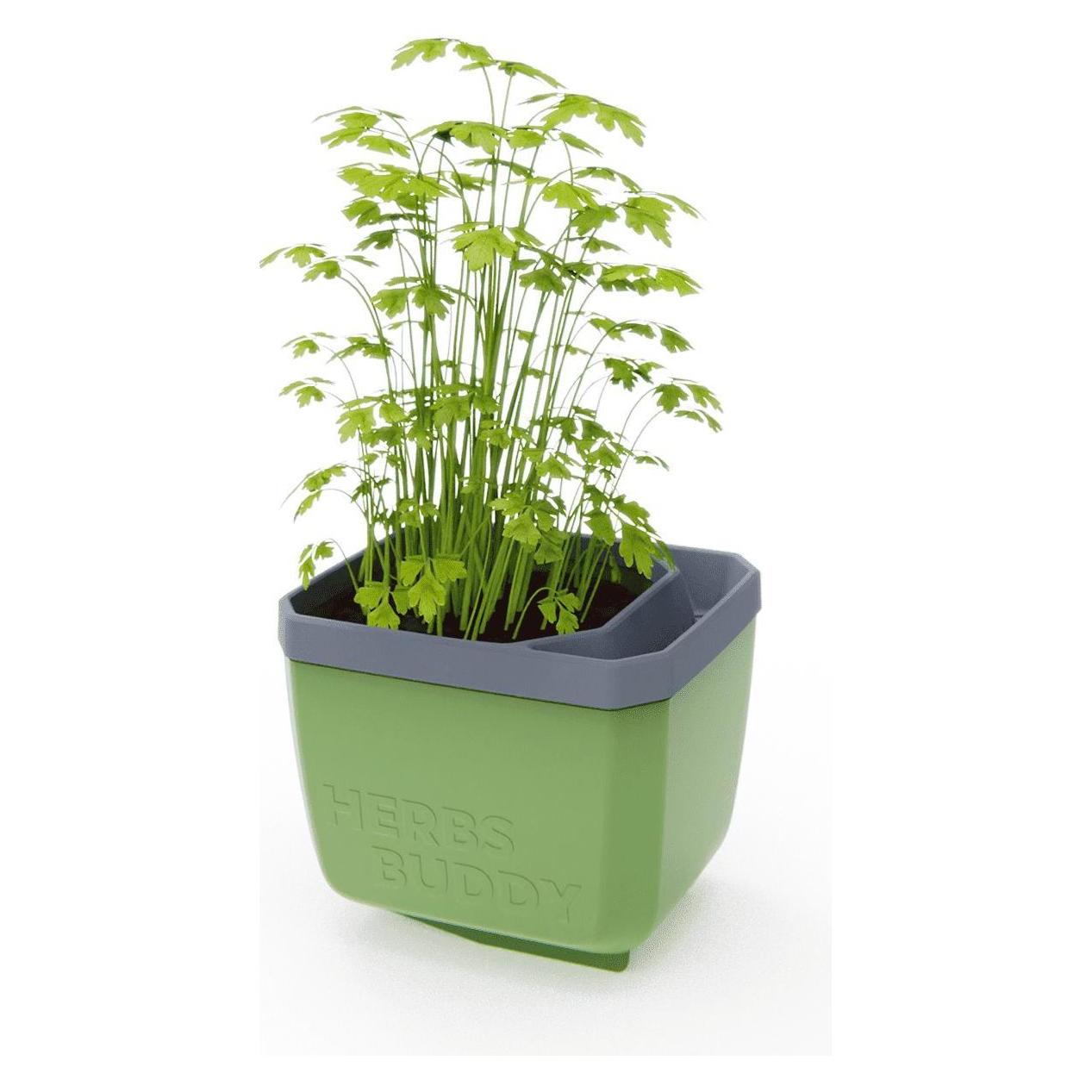 Gusta Garden Herbs Buddy (16 x 16.30 x 14.50 cm) (103F10)