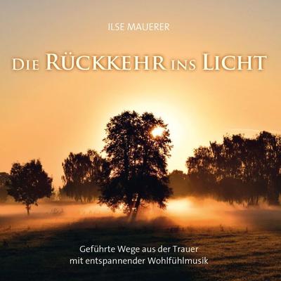 Die Rückkehr ins Licht - Ilse Mauerer, Audio, 9783957663085