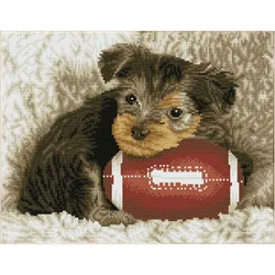 Diamond Dotz Squares Footy Pup