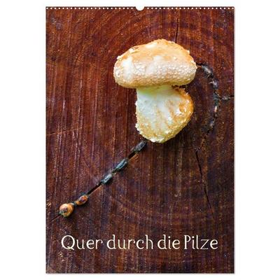 Quer durch die Pilze (Wandkalender 2027 DIN A2 hoch), CALVENDO Monatskalender