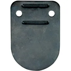 DEHN Trägerschild Niro TS16FL30PPV2A