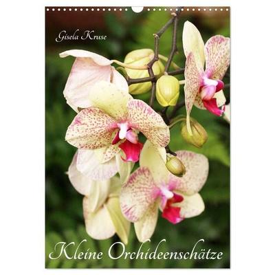 Kleine Orchideenschätze (Wandkalender 2027 DIN A3 hoch), CALVENDO Monatskalender