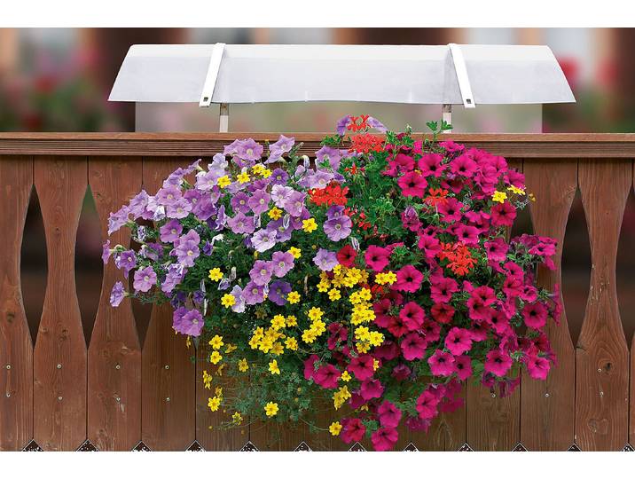 Neoflor-Balconia Schutzdach für Kistli 100 × 35 cm