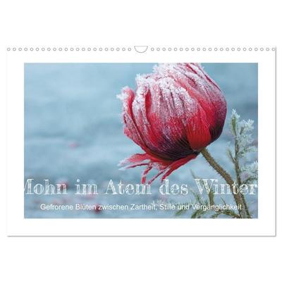 Mohn im Atem des Winters (Wandkalender 2027 DIN A3 quer), CALVENDO Monatskalender