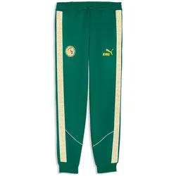 PUMA FSF Senegal King Anthem Trainingshose WM 2026 Herren 20 - wild green/pelé yellow XL