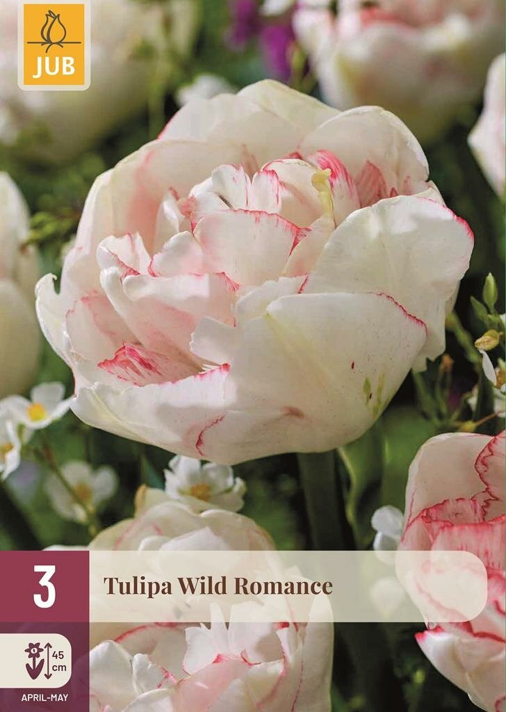 Jub Tulp Wild Romance 3 bollen