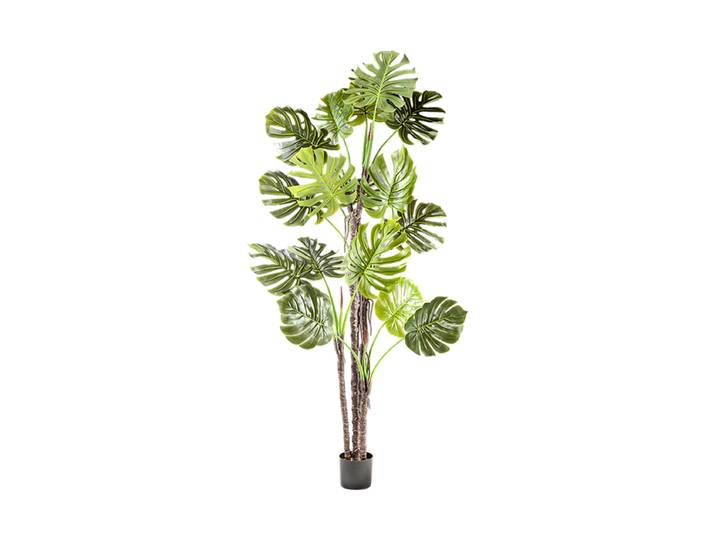Hochwertige Kunstpflanze „Monstera“ Grün, Braun Schuller