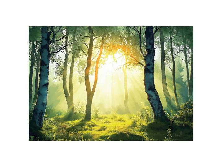 FOTOTAPETE 3D Effekt Wald Natur Wohnzimmer 250x175