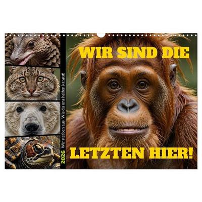 Wir sind die Letzten hier! Wir sterben aus. Wie du uns helfen kannst! (Wandkalender 2026 DIN A3 quer), CALVENDO Monatskalender