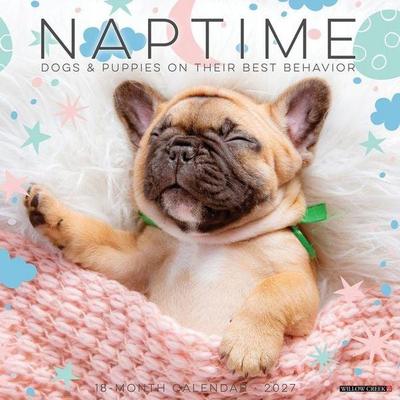 Naptime: Dogs & Puppies on Their Best Behavior 2027 12 X 12 Wall Calendar