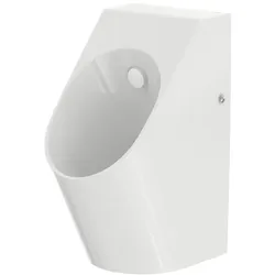 TOTO Urinal, Zulauf hinten, randlos, 306x400x590mm, UWN926EBS