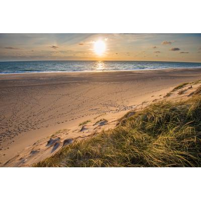 Fototapete PAPERMOON "Dunes Beach Jutland", bunt, B:3,5m L:2,6m, Vlies, Tapeten