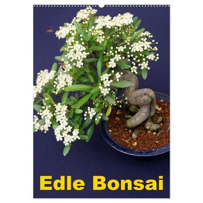 Edle Bonsai (Wandkalender 2027 DIN A2 hoch), CALVENDO Monatskalender