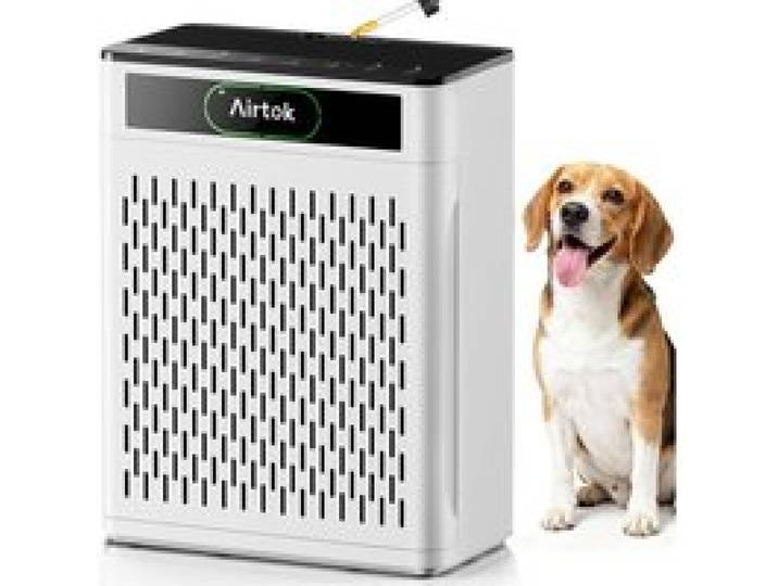 Purificateur DAir JusquÀ 170 M² Filtre Lavable Capteur Qualité DAir HEPA Anti-Fumée Pollen Poussière Et Odeurs