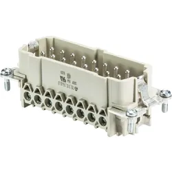 Wieland Steckereinsatz 70.310.1640.0  VPE 1