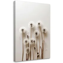 LEINWANDBILD Pusteblumen Pflanzen Natur Boho 40x60cm