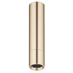 Dornbracht Kopfbrause mit Deckenanbindung SERIENSPEZIFISCH Light Gold gebürstet PVD, Durchfluss max. 6,8 l/min, verstellbarer Strahlwinkel ±7°, Anschluss 1/2