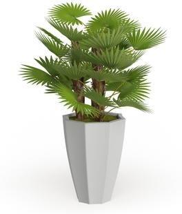 Arcilla Elemental - Green Faux Foliage Majesty Palm Artificial Plant with Realistic Leaves and White Fiberglass Pot